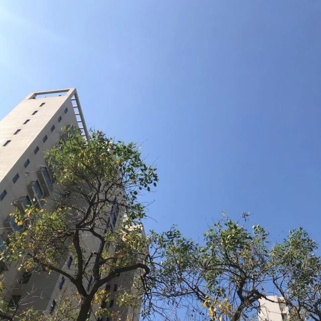 659828 Ro.清补凉