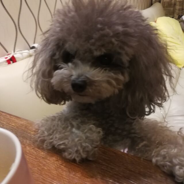 659933 圣旨