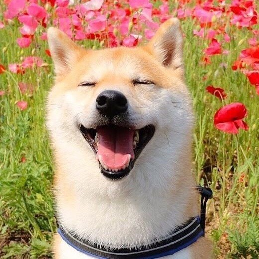 660662 辛已