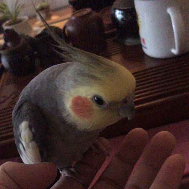 661067 ~风啊那个吹~