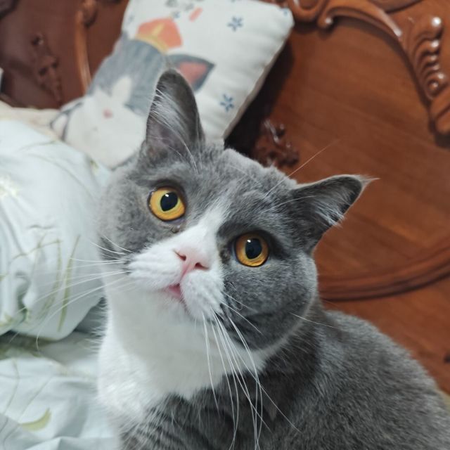 661593 迷失