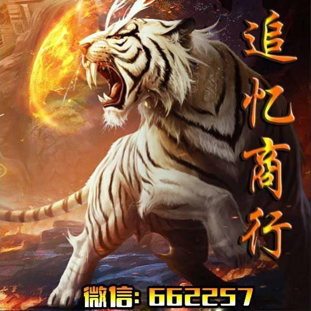 662257 将军