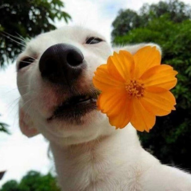 662368 