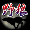 662424 野狼