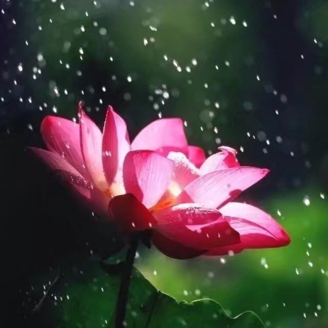 663018 心仪~