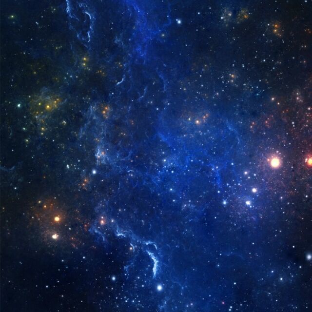663702 枕上芦苇