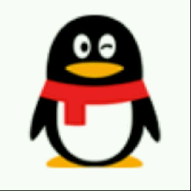 663846 QQ
