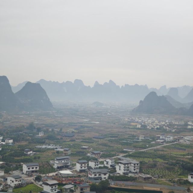 664632 子胖