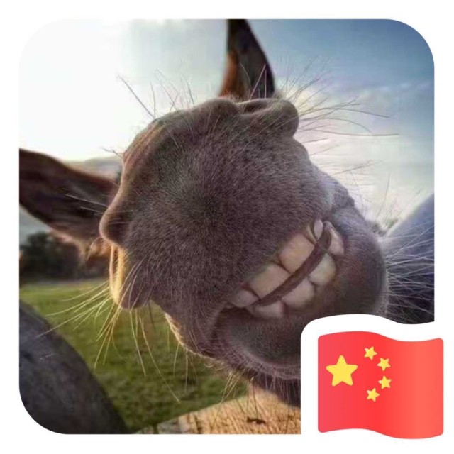 664668 ╄丶Mr.L灬