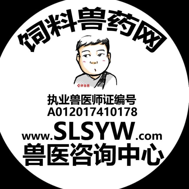 664994 那个年代