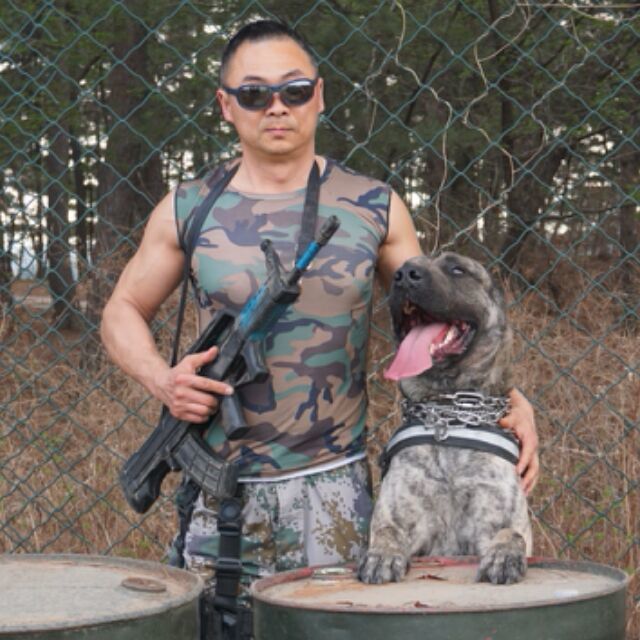 665266  陆役工作犬