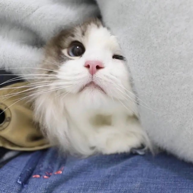 665443 琥珀丶♤