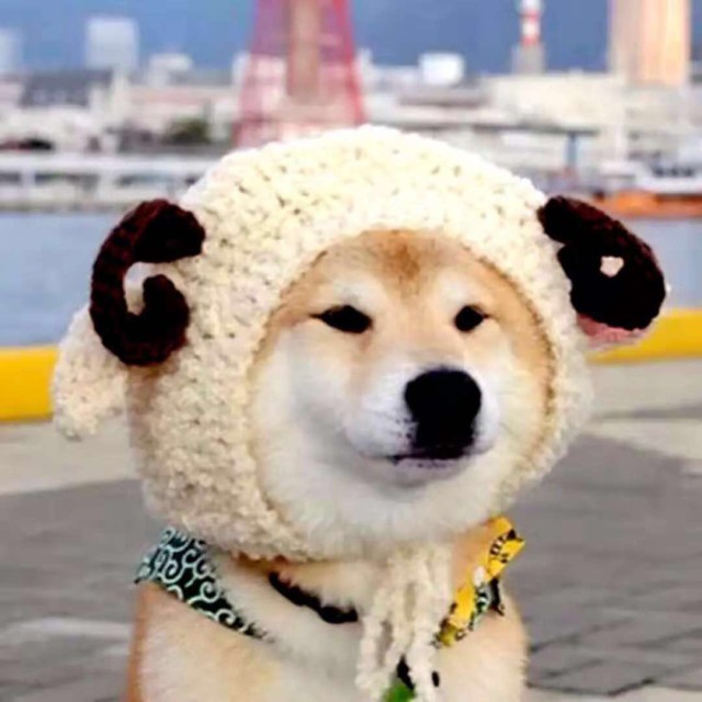 665889 