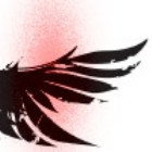666249 Black Wings