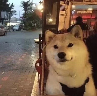 666975 兜里有糖