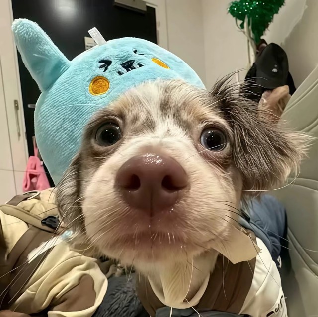 667725 萱子