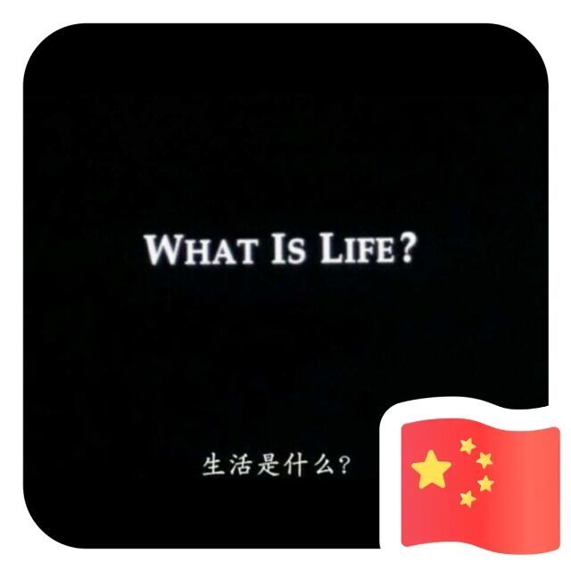 668016 情如曲过丶