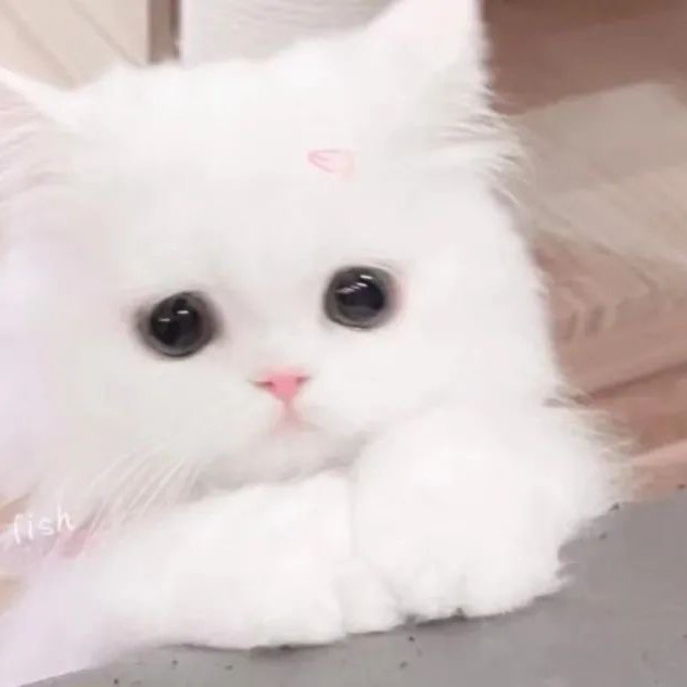 668283 C·₯㎕﹏✍