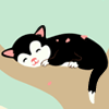 668394 耗子走猫步