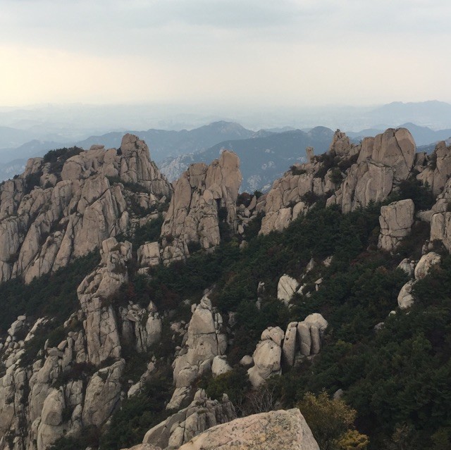 668599 小皮孩()