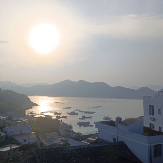 669027 老棉