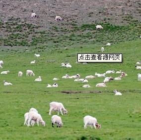 669127 联盛科技