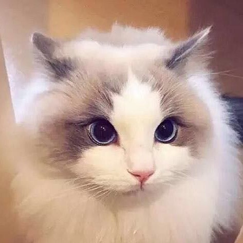 669207 AmeKo