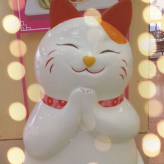 670045 阿紫