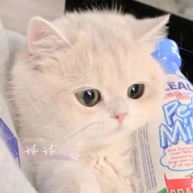 670646 ..絿々
