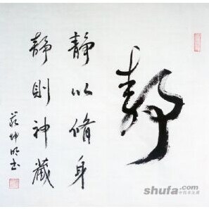 671323 小灰灰