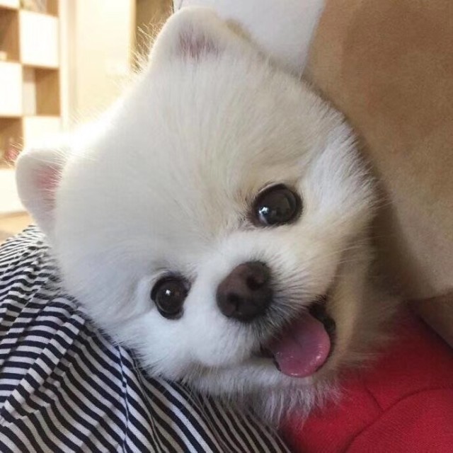 671348 唐家大小姐