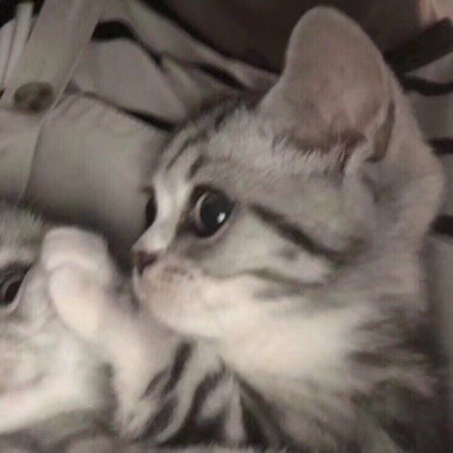671356 几经几世几多人