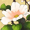 671459 阿米