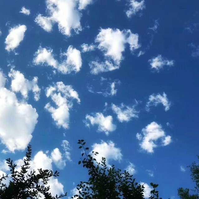 672348 胖子