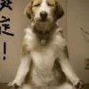 673447 风尘老道