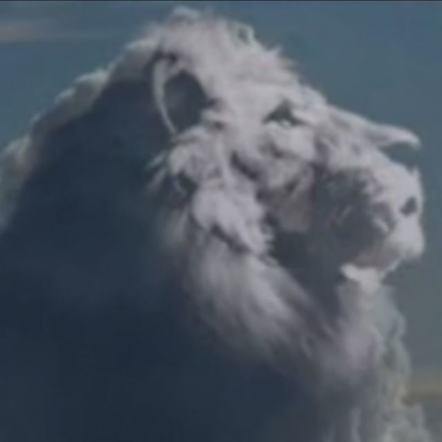 674181 老猫