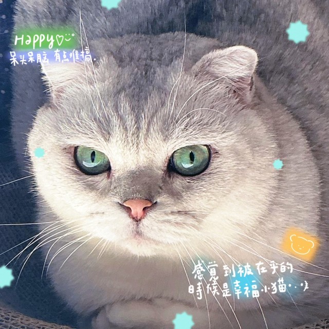 674560 lain玲音