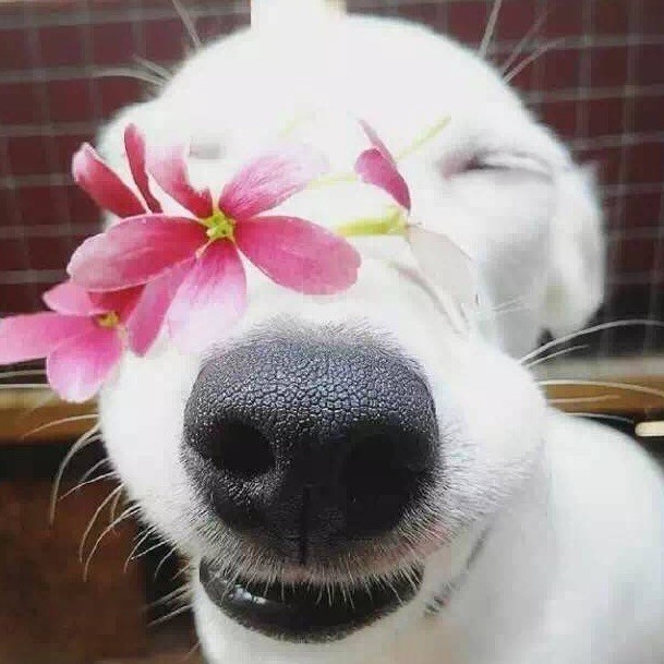 674648 壊壊 メ尐瀦