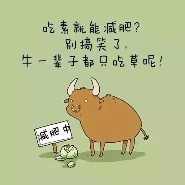 675593 ❤.崽︵o崽.❤