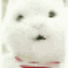 675647 渡橙