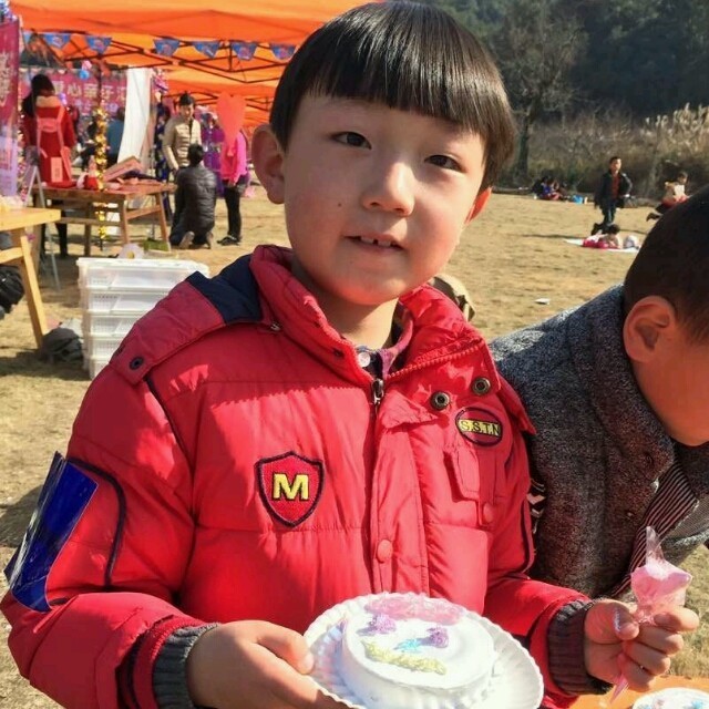 676773 爱上风的叶子
