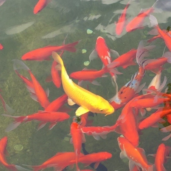 677069 阳光