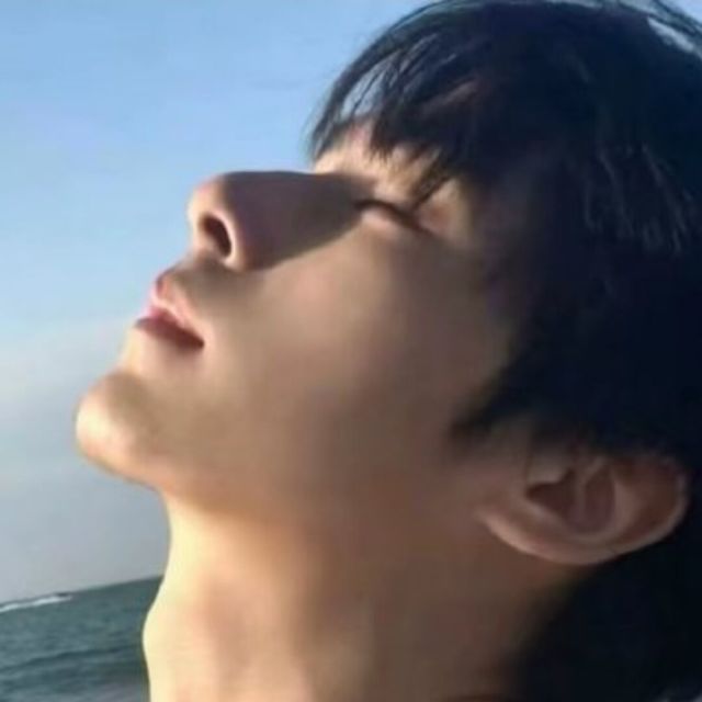 677199 萤火虫也能点亮夜空