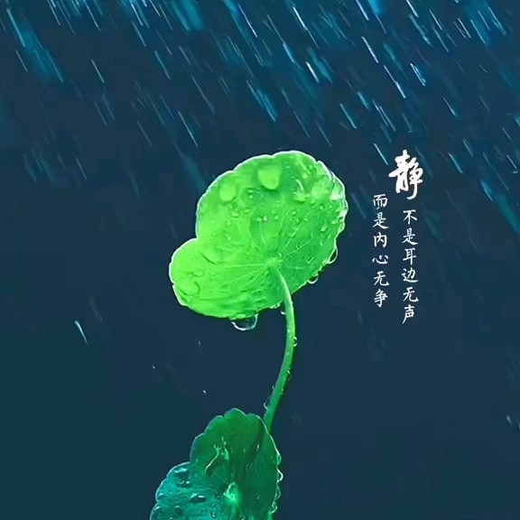 677686 牵手