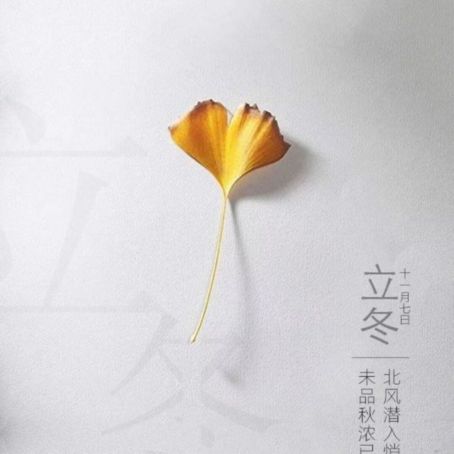 677881 空心菜