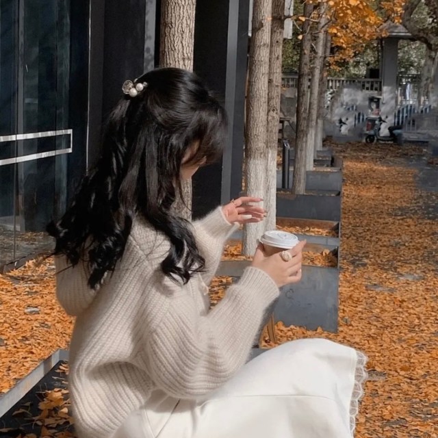 679081 朝花夕拾