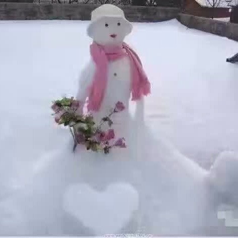 679294 木木