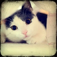 679664 物′以稀为贵 · ° 