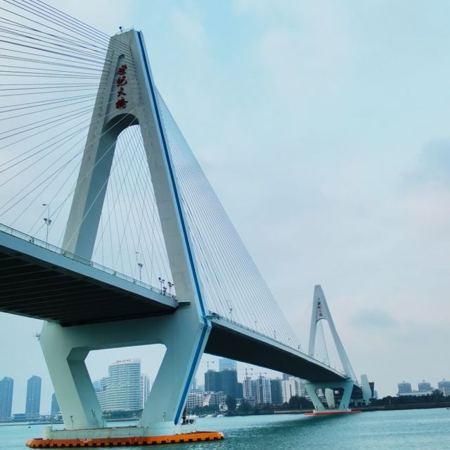 679676 /太阳冰红茶