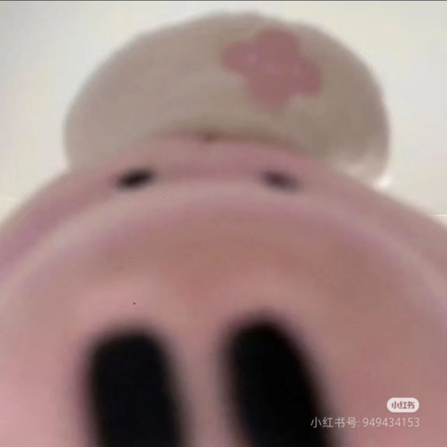 679981 花城的厄命